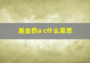 基金的a c什么意思